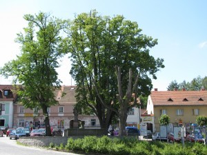 kašna z náměstí